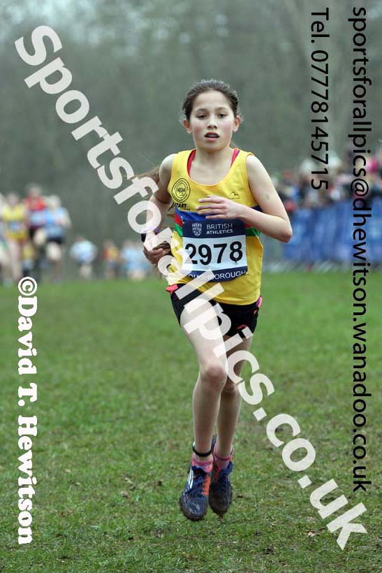 Girls under-13s Inter Counties Cross Country, Prestwold Hall, Loughborough. Photo: David T. Hewitson/Sports for All Pics